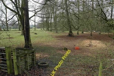 Photo A2 Field for sheep near Manor Farm Tadcaster There is plenty of gr c2017