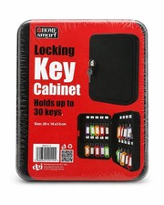 Image of Home Smart Locking Key Cabinet 30 Key Box Wall Mount Cheapest on eBay