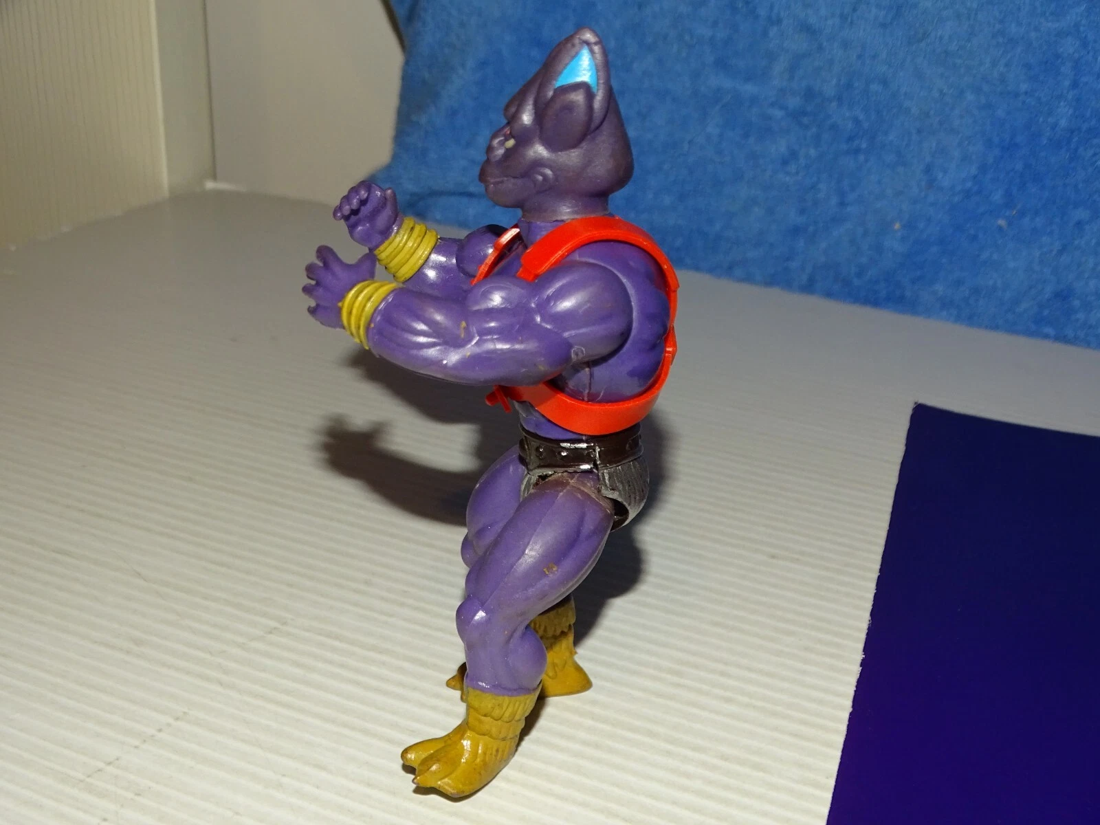 Picture 6 of 11