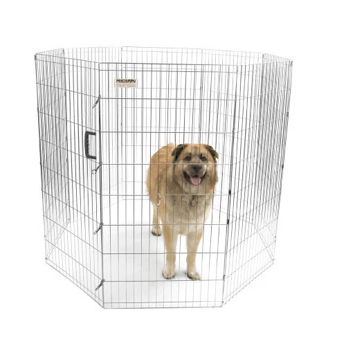 Precision pet choice exercise pen sales
