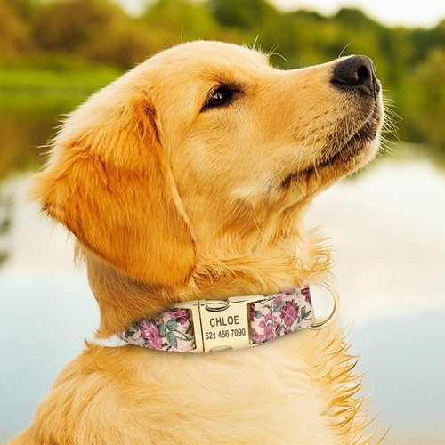 Personalised Floral Dog Collar Custom Pet ID Collar Flower Print Nylon - Picture 10 of 19