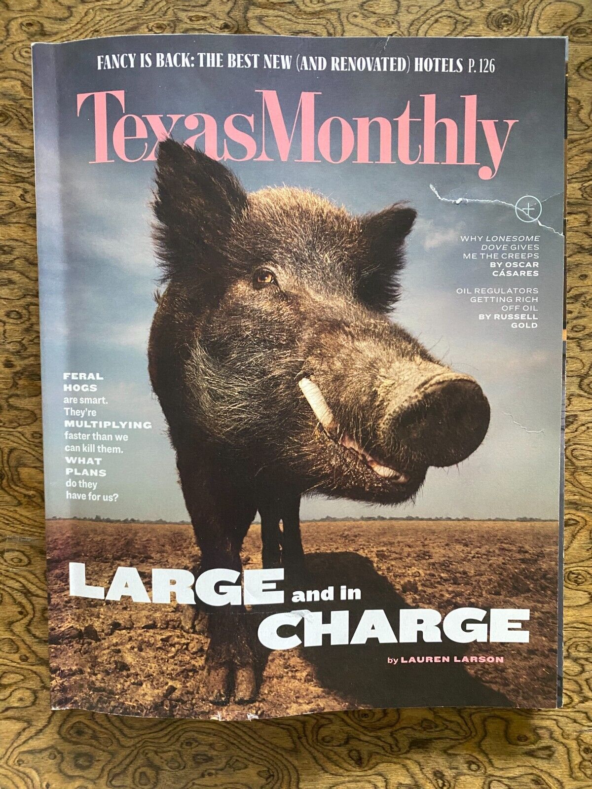 Wildlife Conservation Reimagined – Texas Monthly