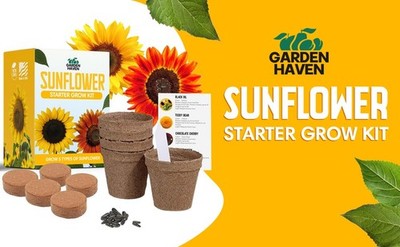 Sunflower Seed Growing Kit All in One Complete Sun Flower Garden