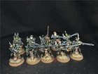 Warhammer 40K DPS painted Dark Eldar Drukhari Kabalite Warriors SK7519