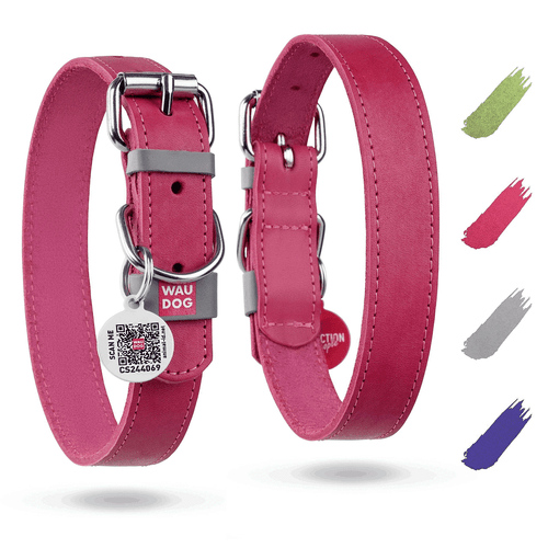 WAUDOG Long Lasting Leather Dog Collar for Large Dogs Medium & Small Dogs