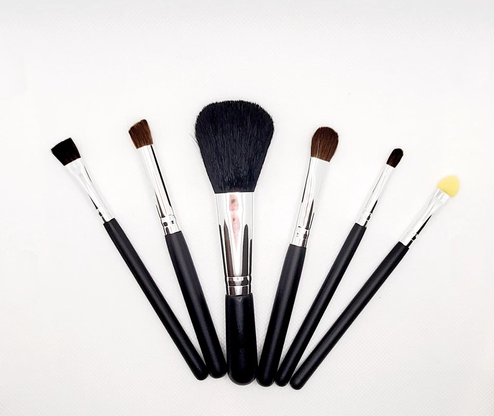 JUEGO DE 6 PINCELES con ESTUCHE Mineral Maquillaje Cosméticos Sombra Facial Rubor Ojos Labio Foto 2 de 4