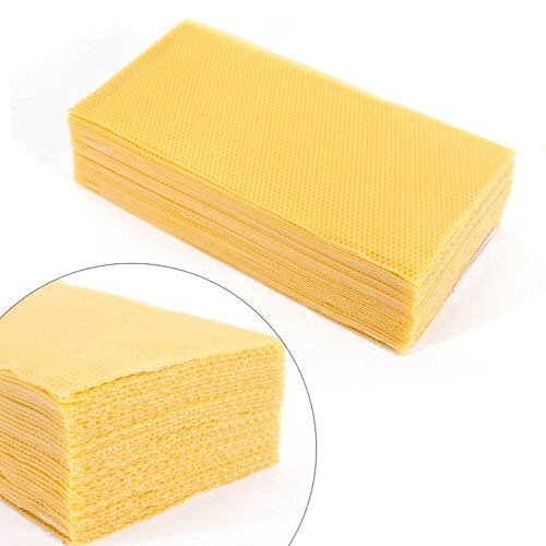 30PCS Honeycomb Wax Frames Beekeeping Foundation Bee Hive Equipment 7.7*16.3" US