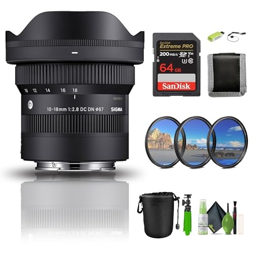 Sigma 10-18mm F2.8 DC DN for Sony E | eBay