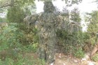 Bild 7 von 12