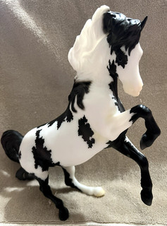Breyer Horse Get This Party Started Black Pinto Connemara BreyerFest 2025 LE