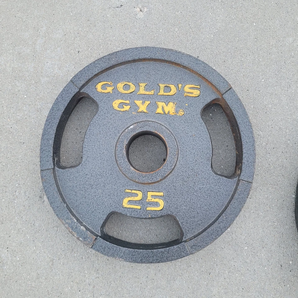 Par de placas de peso Gold's Gym de hierro fundido de 25 libras tamaño olímpico - 50 lb en total Foto 2 de 4
