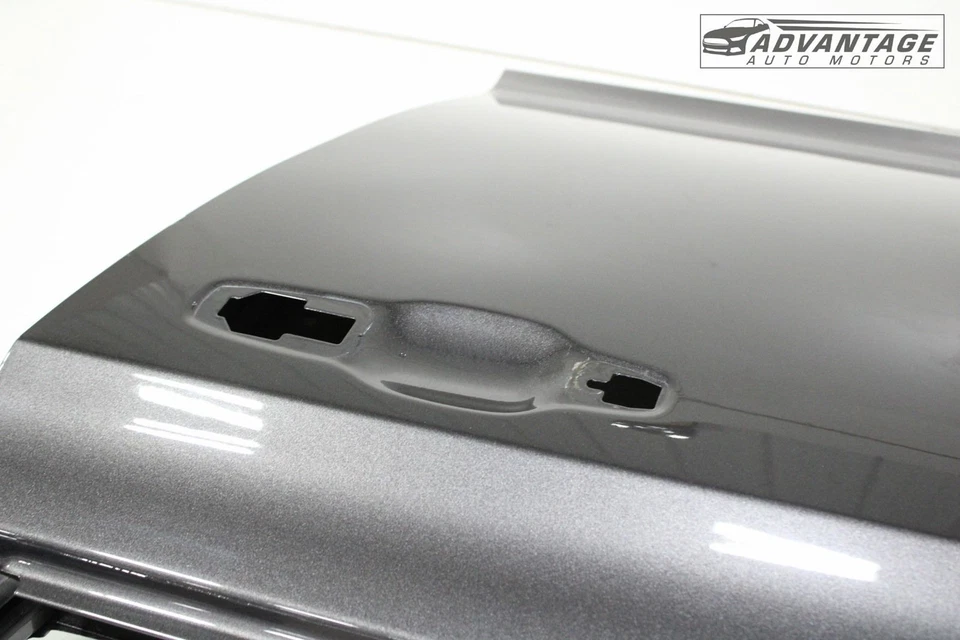 Chrysler 300 2011-2023 puerta delantera izquierda carcasa panel granito cristal metálico OEM Foto 3 de 4