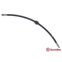 Brembo Bremsschlauch Bremsleitung Vorne Links Rechts FüR Renault ScéNic III