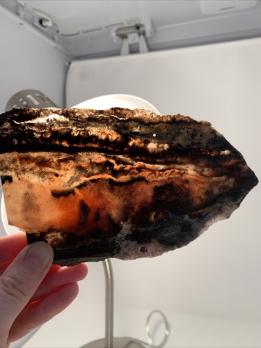 Lot Of 7 Natural Beautiful Agate Geode Druzy Slice Gemstone Healing Brazil - Picture 11 of 22