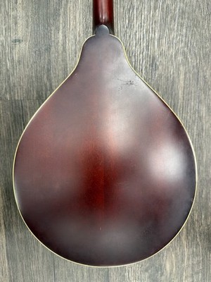 MORGAN MONROE BEAN BLOSSOM MANDOLIN W/CASE (B03092657) | eBay
