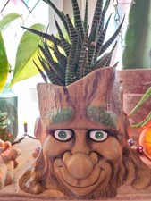 Tree Face Planter Pot – Unpainted Plant Pot Garden Décor