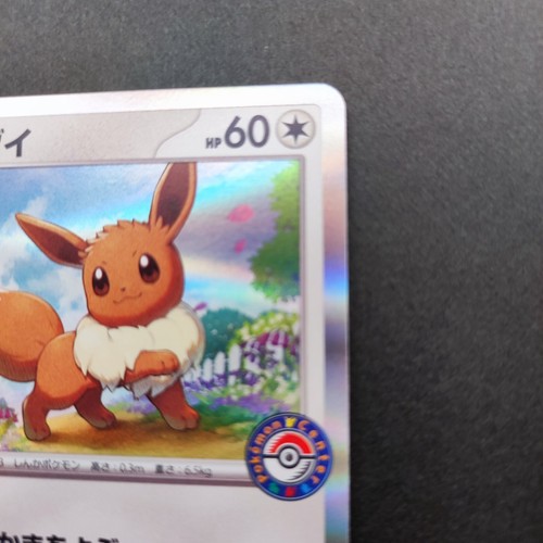 Eevee Pokemon Center Promo Karte 032/SV-P 2023 Very Rare Holo Japan TCG Nintendo - Bild 6 von 12