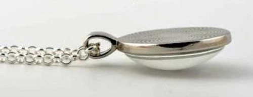 COLGANTE CABALLO PLATA 20" COLLAR HOMBRE MUJER CAMELLO EGIPTO DESIERTO ANIMAL CAJA GRATIS Foto 3 de 4