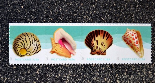2017USA #5163-5166 34c Postcard Rate Seashells Horizontal Strip of 4 From Sheet - Picture 3 of 3