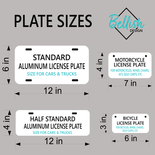 PERSONALIZED Florida License Plate Dolphin eBay