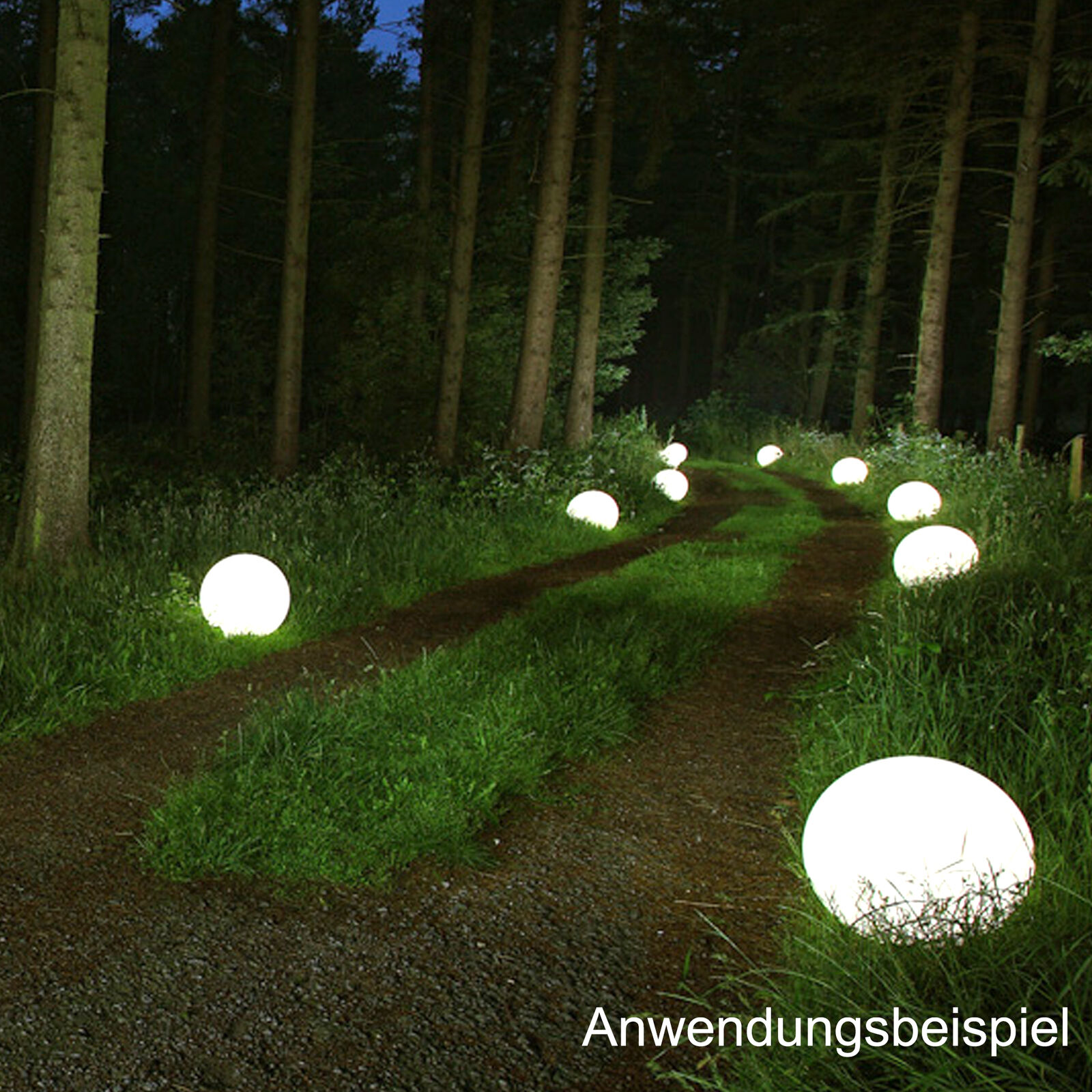 Bild 7 von 10