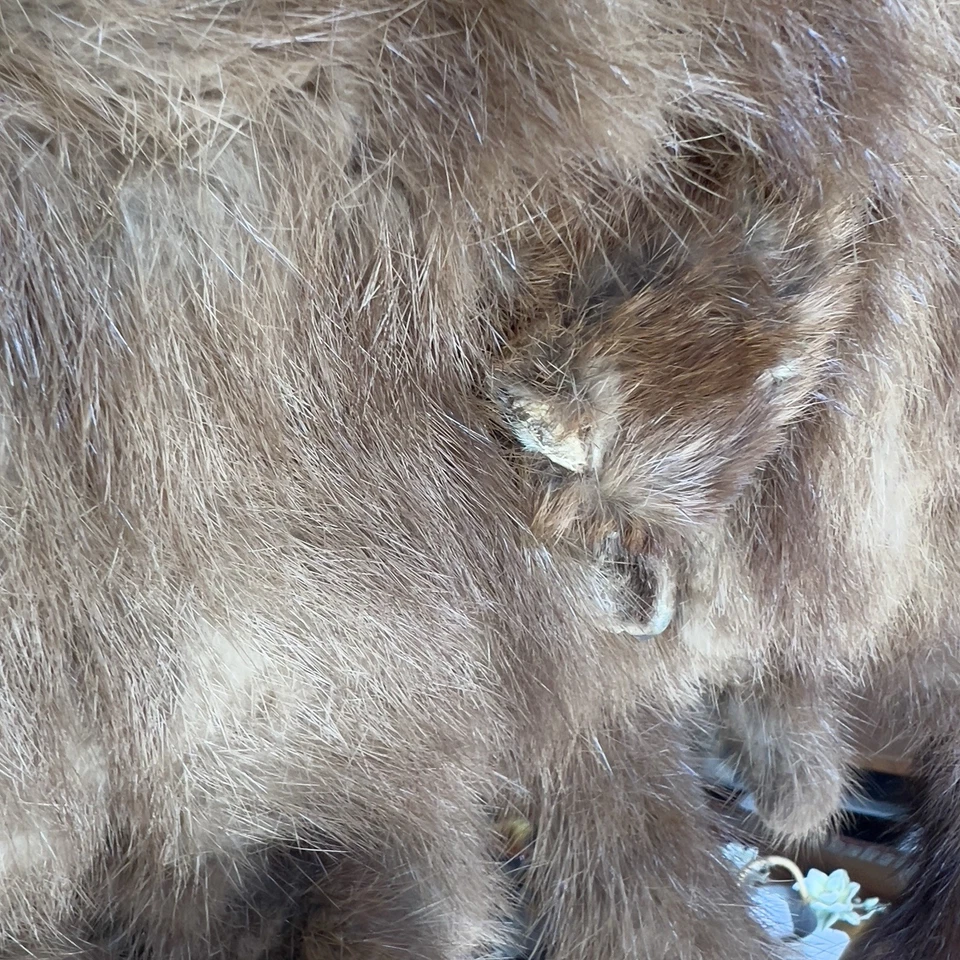 Antique Mink Fur Face Handbag Purse Bakelite Kiss Lock - Image 4 of 4