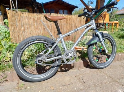 Early Rider Belter 16 - 16 Zoll Kinderfahrrad mit Riemenantrieb