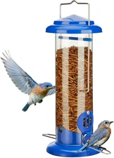 Kingsyard Upgraded Bluebird Feeder for Outdoors Hanging - Metal Mealworm Tube Bi