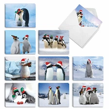 20 Seasons Greetings Cards (10 Designs, 2 Each) - Penguins AM2951SGG-B2x10