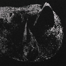 Demon Head - Viscera LP #138384