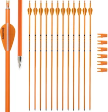 Carbon Arrow Archery 30Inch Bright Colors Hunting Target Practice Arrows for Com