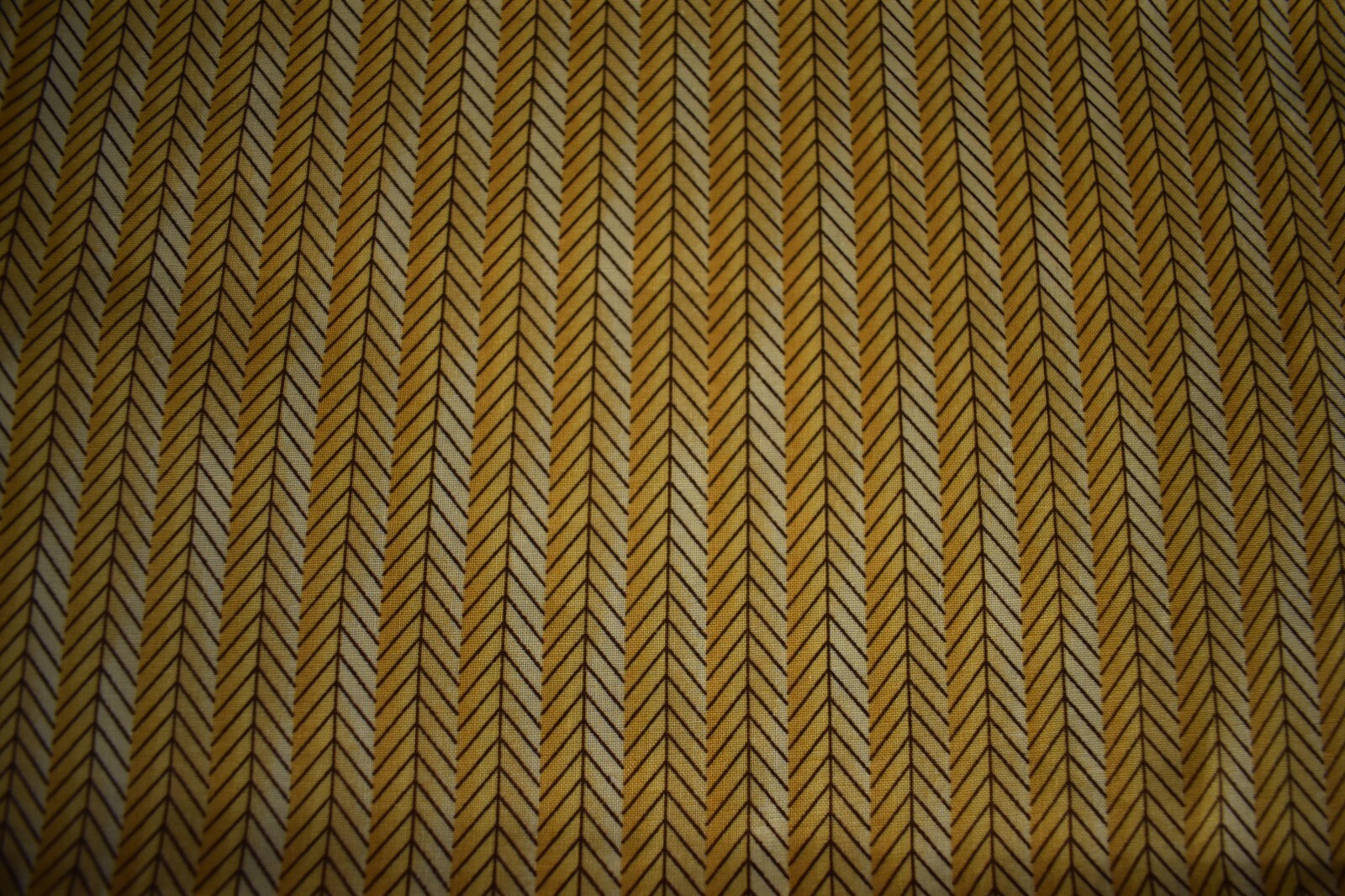 Picture 4 of 4