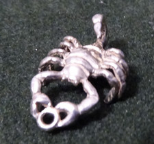 Vintage Rare Decorative Silver Scorpion Charm /Pendant