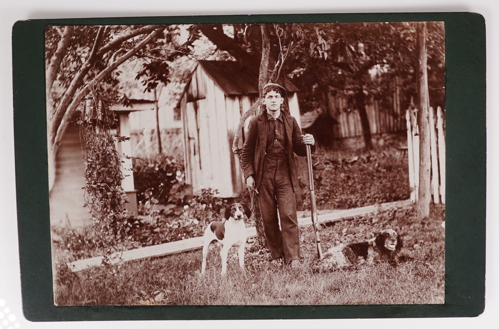 Antique Cabinet Card 1890s Hunter With Rifle And Hunting Dogs