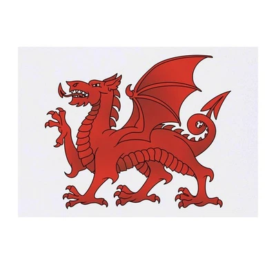 AZEEDA Temporäre Tattoos/Transfers "Traditioneller walisischer Drache" (TO00079429)
