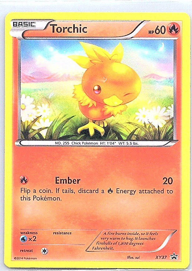 XY Promos #XY37 Torchic Holo DMG