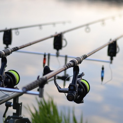 Rondelle à graine coupelle pêche à la carpe CARP SPIRIT par 10 PROMO ETE - Photo 3/5