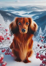 Dachshund Red LH Winter Berries Flag