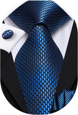 Mens Paisley Striped Tie WOVEN Necktie for Men and Handkerchief Cufflinks Set We