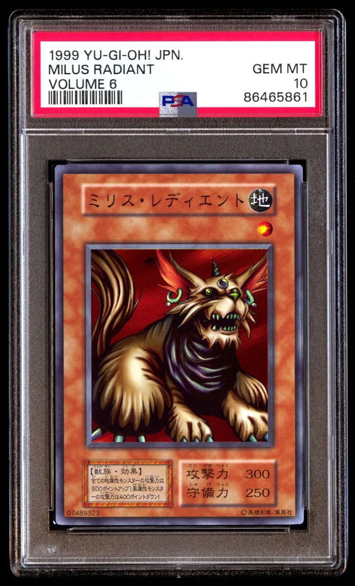 1999 ベビードラゴン VOLUME 6 GEM MT 10 PSA 10 Gem Mint Milus Radiant Volume 6 1999 Japanese Graded