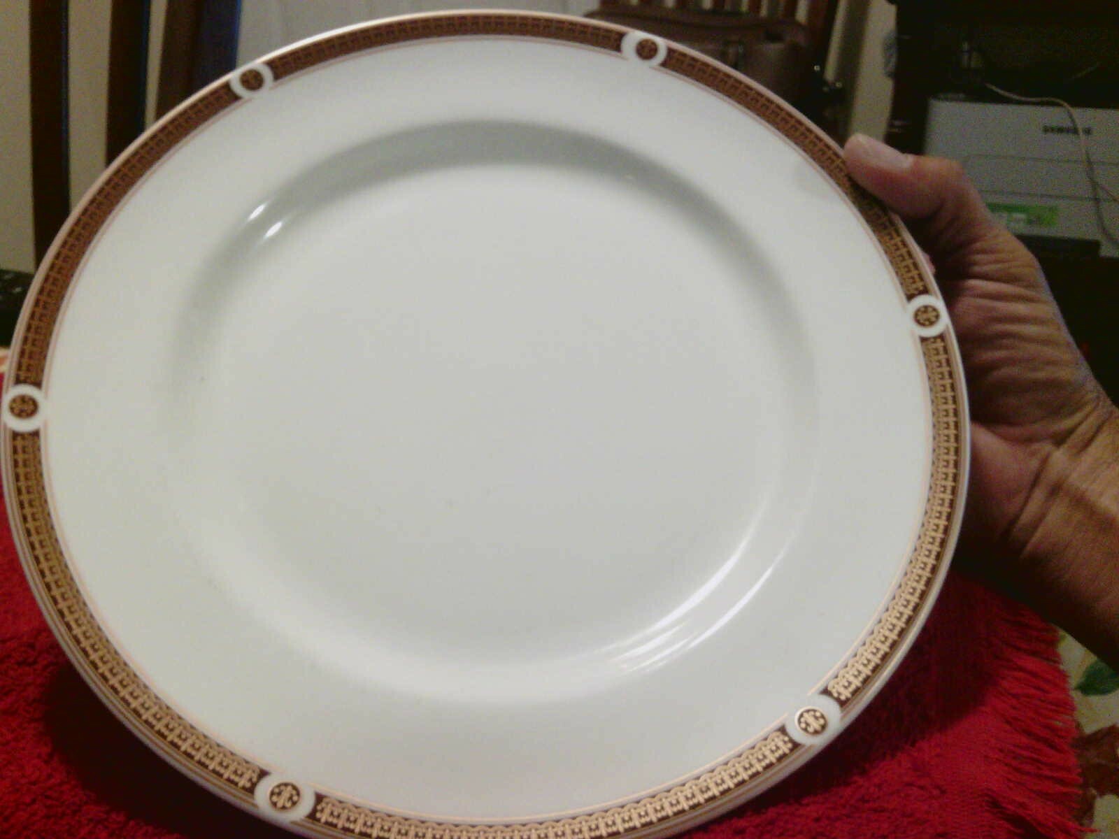 Steelite Internationl Dinner Plate Restaurant Quality AminoTher