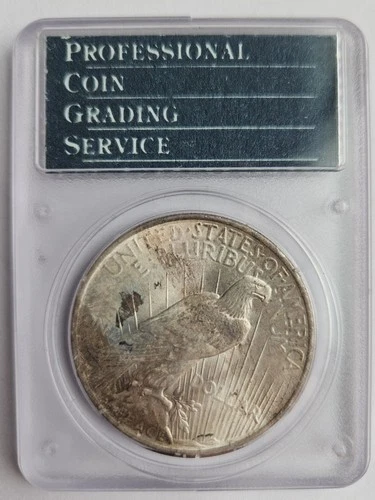 1924 Tab-Toned Rattler Silver Peace Dollar PCGS MS64