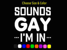 Sounds Gay I'm in LGBTQ Orgullo Gay Vinilo Ventana Pegatina ELIGE TALLA COLOR
