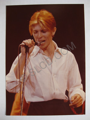 DAVID BOWIE Station To Station Tour 1976 CONCERT PHOTOGRAPH Thin White ...