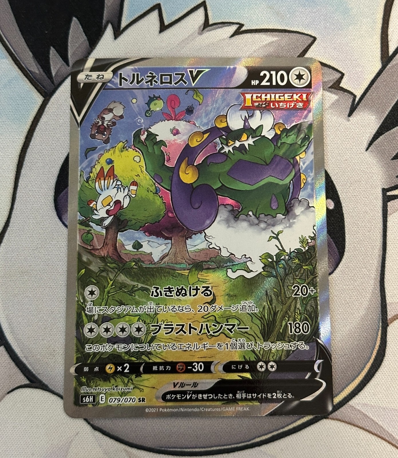 Tornadus V 079/070 Silver Lance *Alternate Art* NM/M