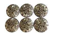 Set of 6 Snakeskin Animal Print Wildlife Wood Cabinet Knobs