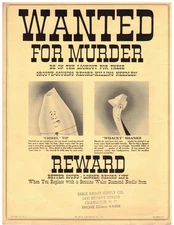 VINTAGE 1958 WALCO DIAMOND PHONOGRAPH NEEDLE IDENTIFICATION CHART &ADVERTISEMENT