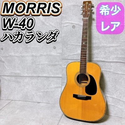Morris Acoustic Guitar W-40 Jacaranda String Instrument Acoustic Guitar Morris