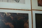 Bild 13 von 15