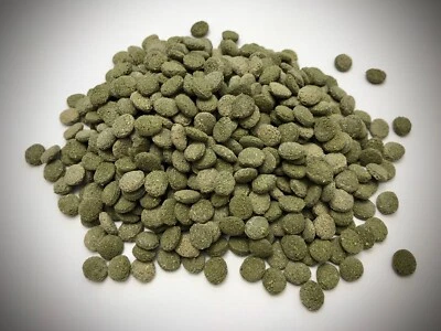 JBL Novo Pleco - Futter Tabletten Chips für Welse 100ml - Nachfüllpack